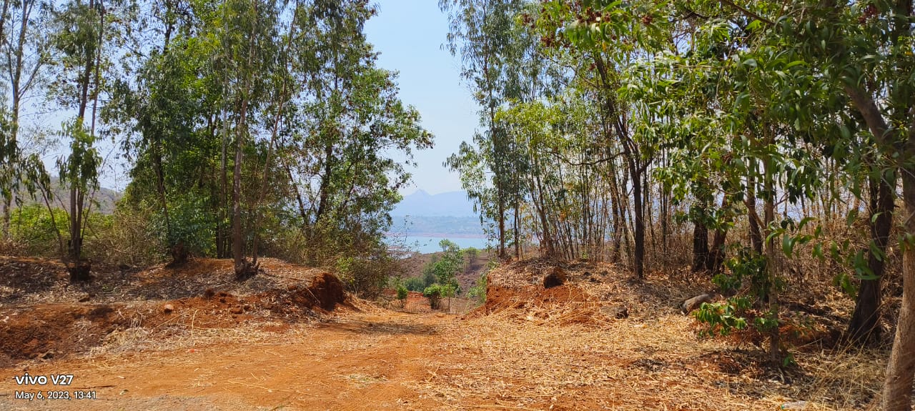 Plot 1